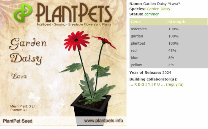 PlantPet Seed [Garden Daisy *Lava*]