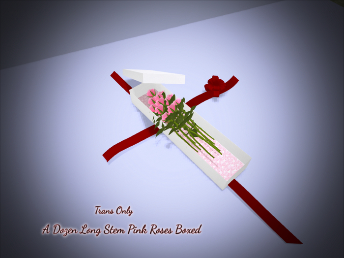 Dozen Boxed Pink Roses - ADD