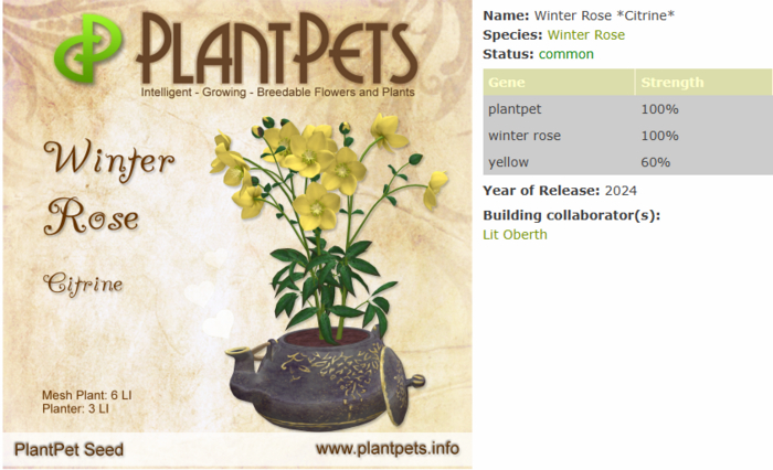 PlantPet Seed [Winter Rose *Citrine*]