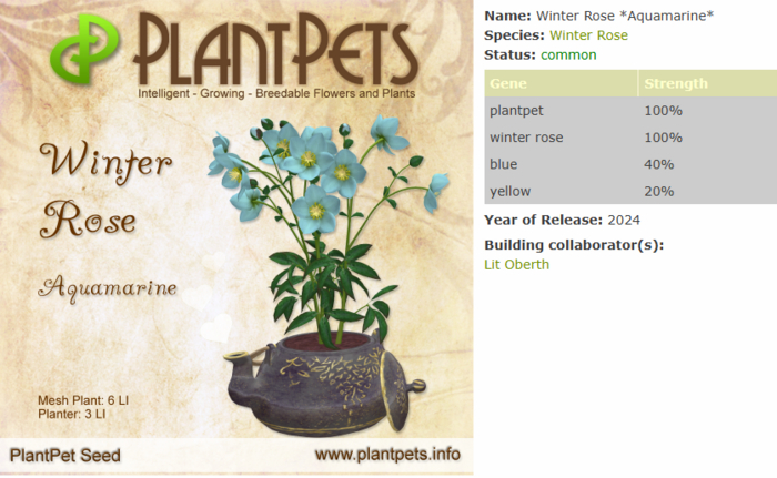 PlantPet Seed [Winter Rose *Aquamarine*]
