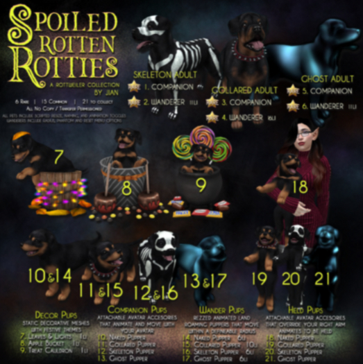 JIAN Spoiled Rotties 15. Collared Pup Wanderer BOX