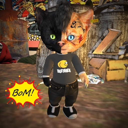 .::KS::.dinkie-tshirt-longsleeve-buttface-bom