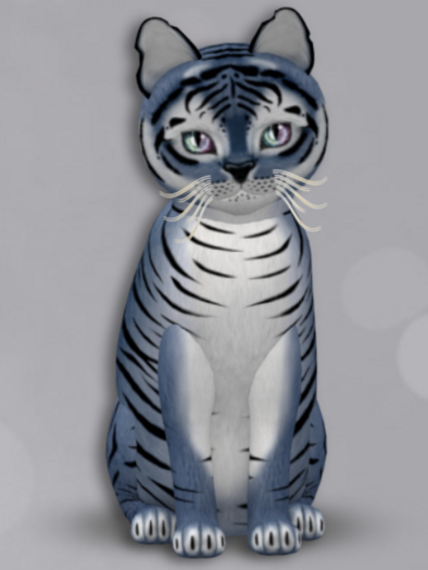 KittyCatS Box 183 M Tiger