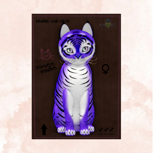 KittyCatS Box - New Born Kitten