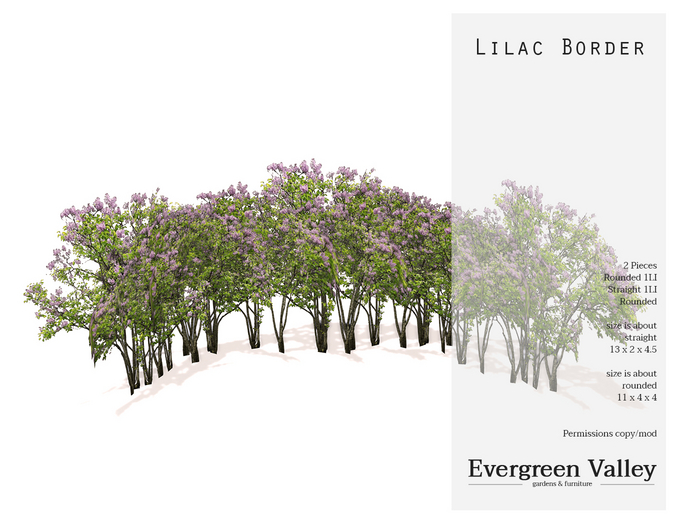 Lilac Border