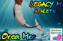 Creature Comforts - Orca Bento Mermaid (Legacy Ath)