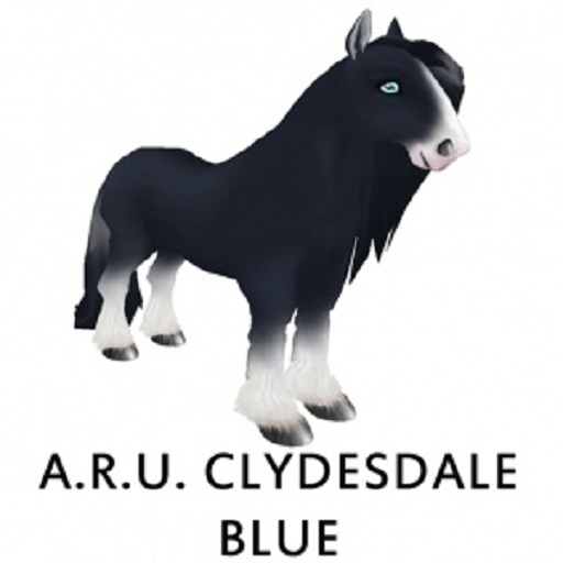 ARU Clydesdale Blue F