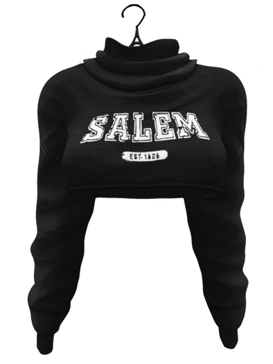 aprelle meghan sweater salem