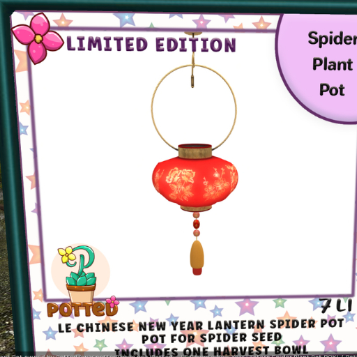 Potted ~ LE Chinese New Year Lantern Spider Plant Pot