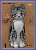 KittyCatS Box - New Born Kitten Female3