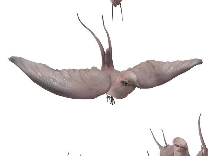 11){anc} forget. Swallow [mistgray]