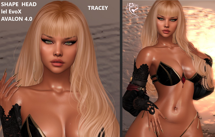 TRACEY  SHAPE HEAD EvoX  AVALON 4.0 Lelutka (Maitreya,larax,legacy,,Reborn,Erika ,,Belleza Gen.X Curvy.Kupra