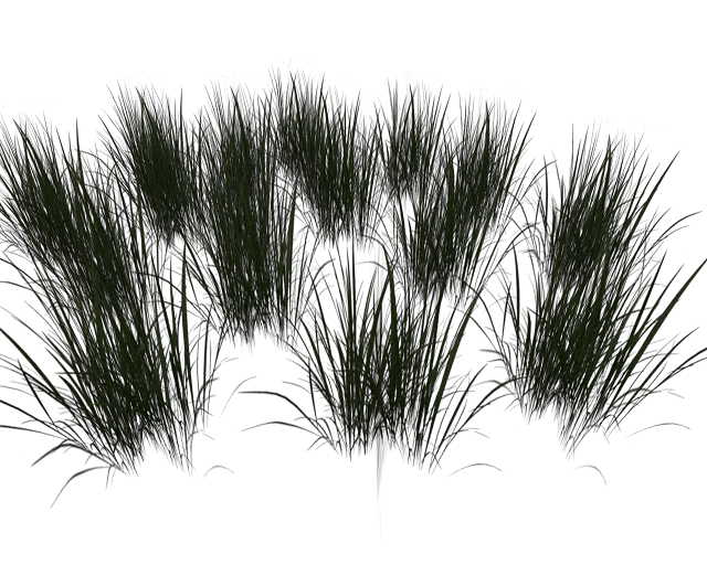 Wild Grass Sculptie 4m x 3m