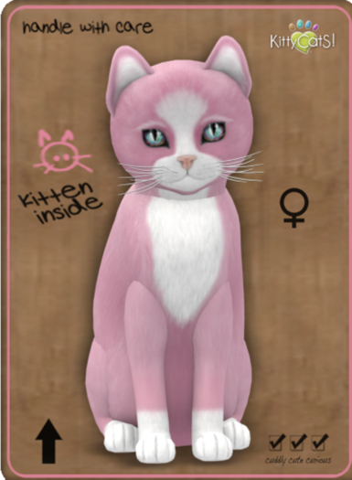 KittyCatS Box - ChatPW1/TapestryReef