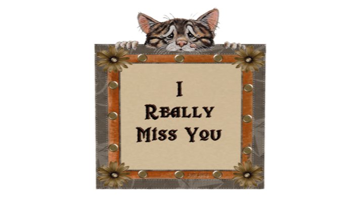 Missing you #12  Animated Texture