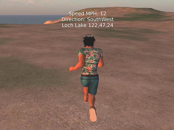 Personal GPS