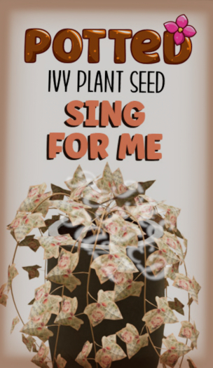 Potted: Ivy Plant Seed: Sing For Me
