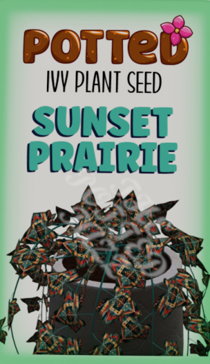 Potted: Ivy Plant Seed: Sunset Prairie