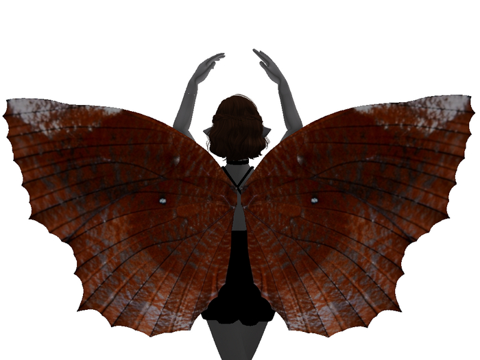  Dark Moth Wings
