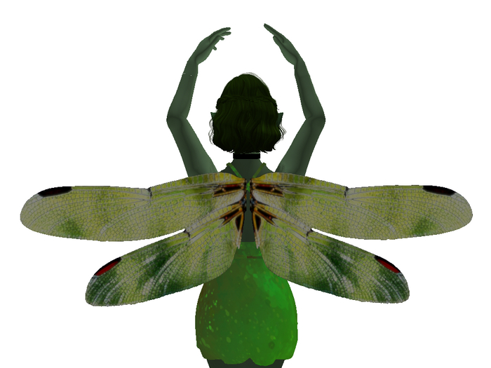 Green Dragonfly Wings