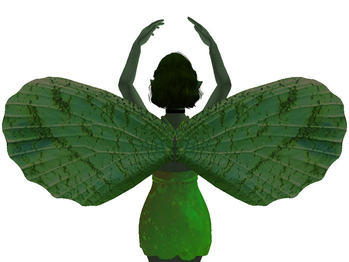 Green Moth Wings