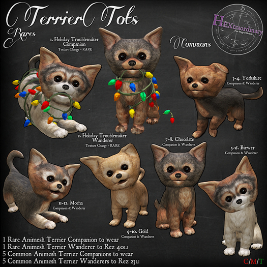 *HEXtraordinary* Terrier Tot - Chocolate - Companion