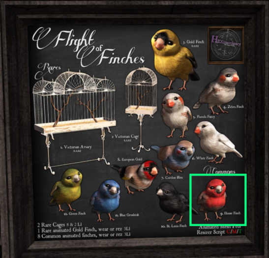 9. *HEXtraordinary* House Finch