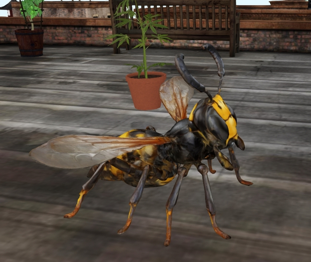 Genetically Modified Killer Insect