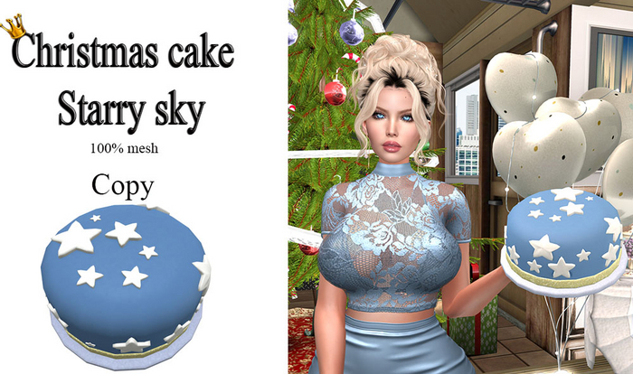 Christmas Cake starry sky Holdable