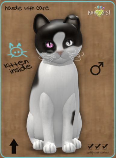 KittyCatS Box - ChatCocowh2Odycrystalrose