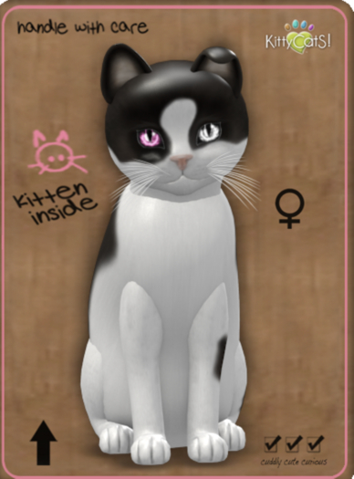 KittyCatS Box - ChatCocowh2OdyCrystalPorcelain