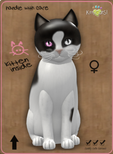 KittyCatS Box - ChatCocoWhite2OdyCrystalRose