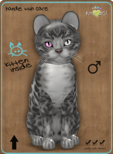 KittyCatS Box - BengalSilver/OdyCrystalRose
