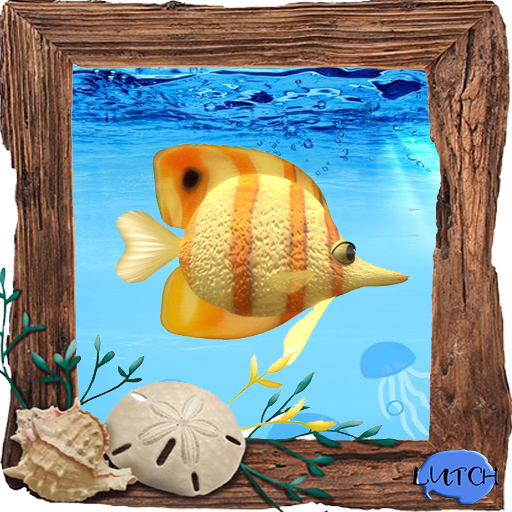 (7S) Rare Fish: Gold Banded Fish