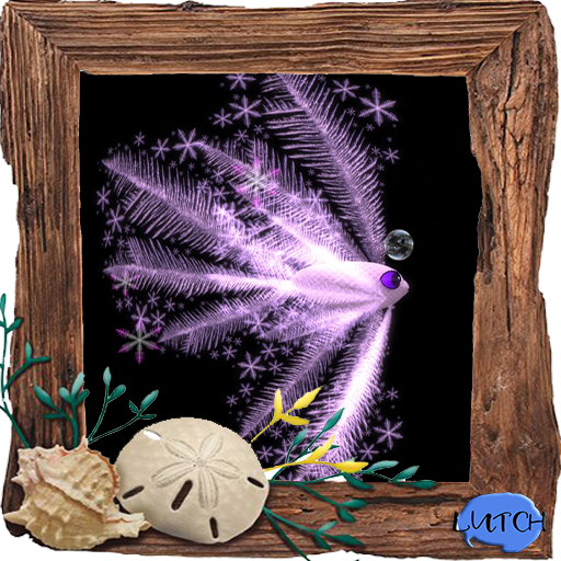 (7S) Uncommon Fish: Pink Frost Fish