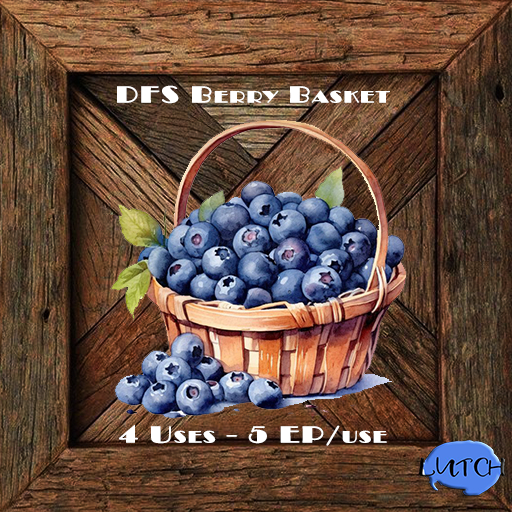 DFS Berry Basket 