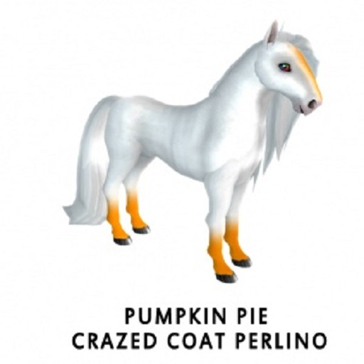 Pumpkin Pie Crazed F