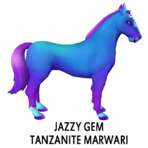 Tanzanite Marwari m