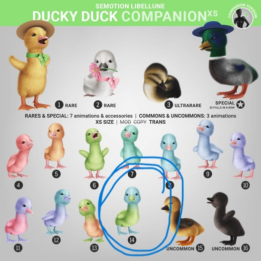 SEmotion Libellune Ducky Duck XS Companion COMMON 14