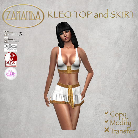 Zara's KLEO Skirt and Top