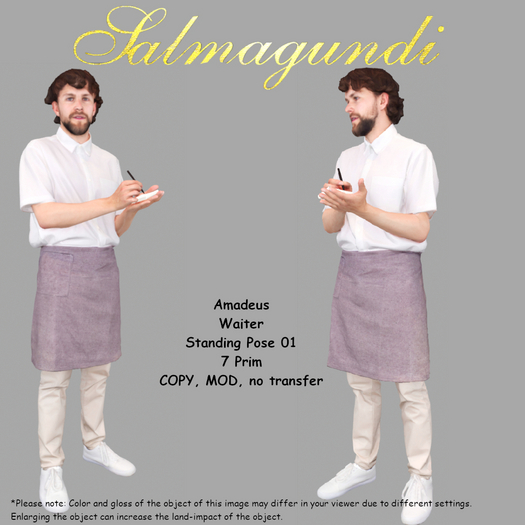 Amadeus - Waiter - Standing Pose 01