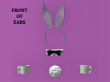 Bunny Girl Accessories With Lt.Blue Ears