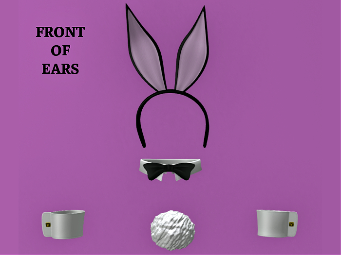 Bunny Girl Accessories w Black Ears