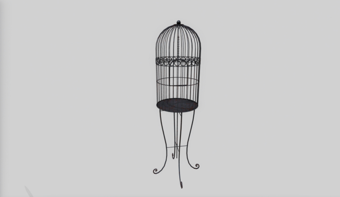 Cuzy/Rustic Bird cage
