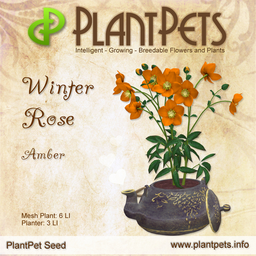 PlantPet Seed [Winter Rose *Amber*]
