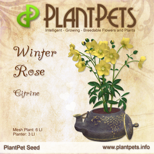 PlantPet Seed [Winter Rose *Citrine*]