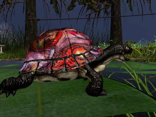 Triton>Red Seashell>Pixie!