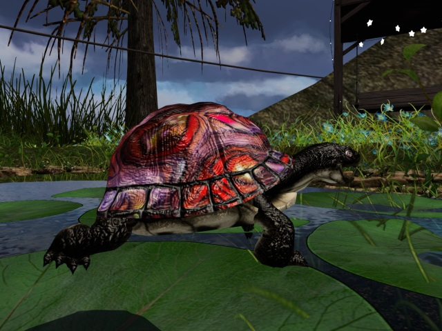 Large>SeaShell Red>Male