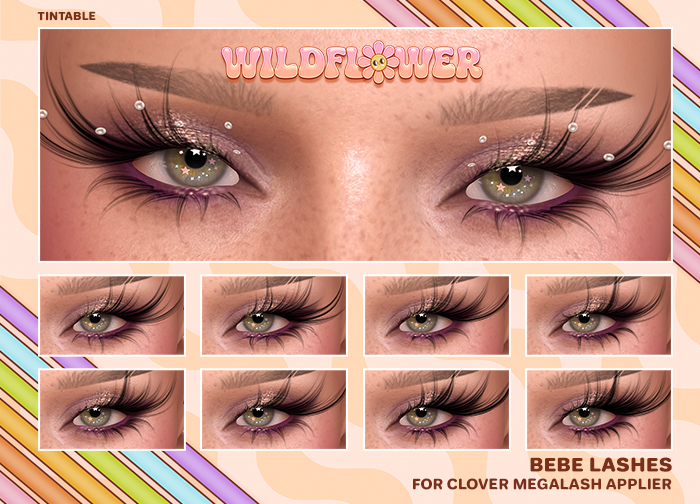 + wildflower bebe lashes (clover megalash)