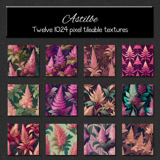 *Wallflowers* Astilbe